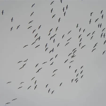 4737-aakirkeby-olenevej-39 Prázdninový dům